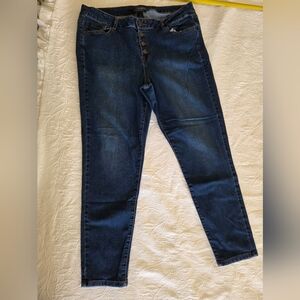 Lane Bryant Dark Blue Skinny Jeans